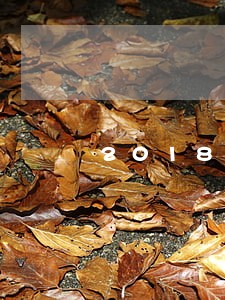 2018理财逾期