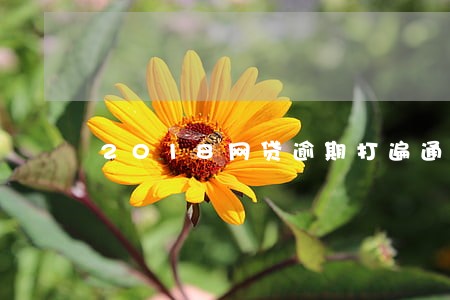 2018网贷逾期打遍通讯录 2018网贷逾期打遍通讯录