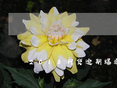 2018网贷逾期爆通讯录 2018网贷逾期爆通讯录