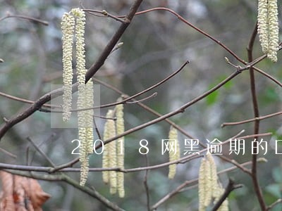 2018网黑逾期的口子 2018网黑逾期的口子