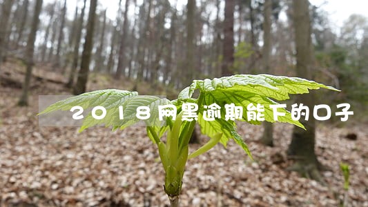 2018网黑逾期能下的口子 2018网黑逾期能下的口子
