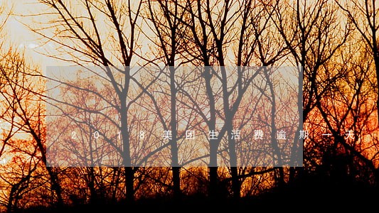 2018美团生活费逾期一天 2018美团生活费逾期一天
