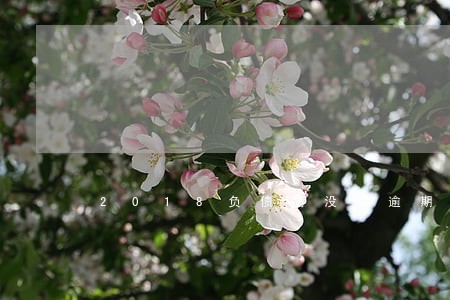 2018负债高没有逾期 2018负债高没有逾期