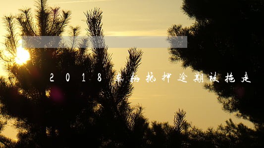 2018车辆抵押逾期被拖走 2018车辆抵押逾期被拖走