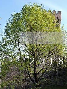 2018逾期也能下的口子 2018逾期也能下的口子
