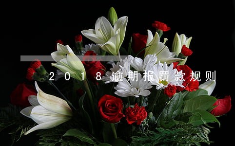 2018逾期报罚款规则