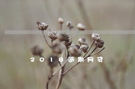 2018逾期网贷 2018逾期网贷