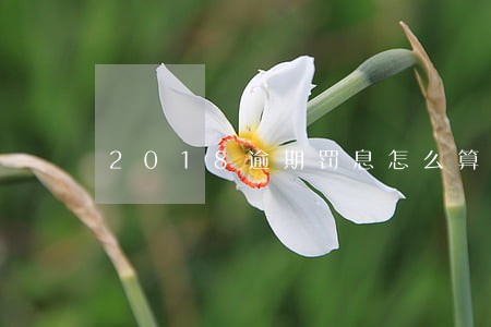 2018逾期罚息怎么算