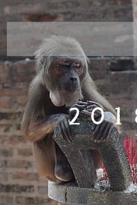 2018逾期能下最新口子 2018逾期能下最新口子