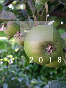 2018逾期能借的口子6 2018逾期能借的口子6