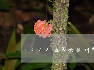 2018逾期贷款利率标准 2018逾期贷款利率标准