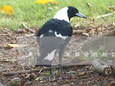 2018逾期贷款的口子 2018逾期贷款的口子