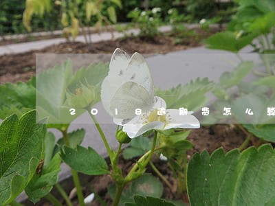 2018逾期费怎么算 2018逾期费怎么算
