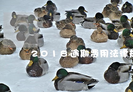 2018逾期费用法律规定 2018逾期费用法律规定
