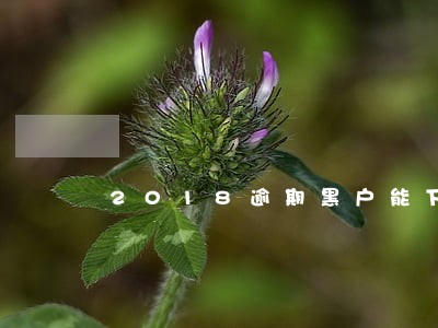 2018逾期黑户能下款的口子 2018逾期黑户能下款的口子