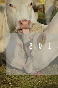 2018银行贷款逾期率 2018银行贷款逾期率