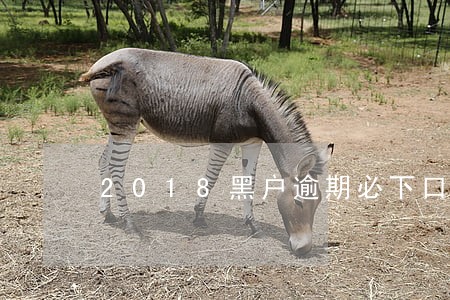 2018黑户逾期必下口子6 2018黑户逾期必下口子6