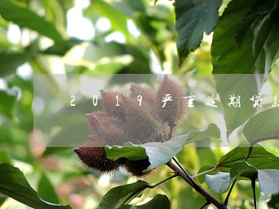 2019严重逾期贷款平台 2019严重逾期贷款平台