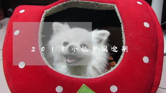 2019个税申报逾期 2019个税申报逾期