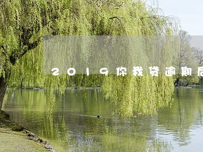 2019你我贷逾期后果