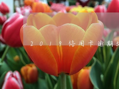 2019信用卡逾期5万本金 2019信用卡逾期5万本金