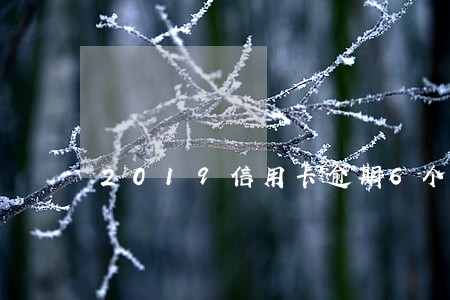 2019信用卡逾期6个月 2019信用卡逾期6个月