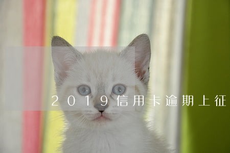 2019信用卡逾期上征信 2019信用卡逾期上征信