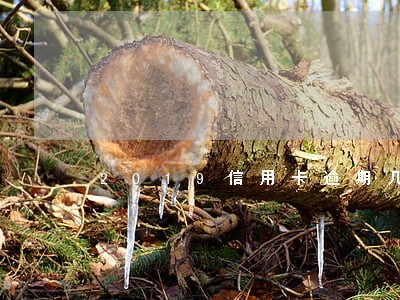 2019信用卡逾期几年删掉 2019信用卡逾期几年删掉