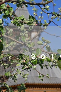 2019信用卡逾期名单云南曲靖
