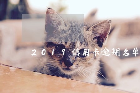 2019信用卡逾期名单周楚辉