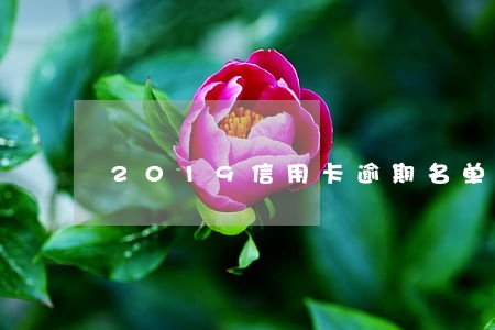 2019信用卡逾期名单绵阳