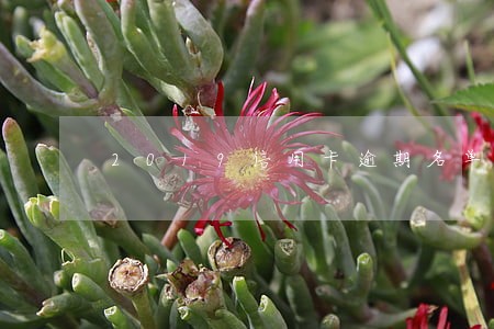 2019信用卡逾期名单邢台 2019信用卡逾期名单邢台