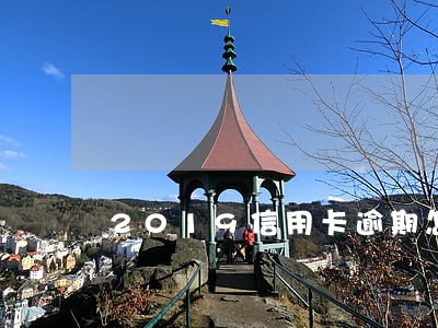 2019信用卡逾期怎么上岸 2019信用卡逾期怎么上岸