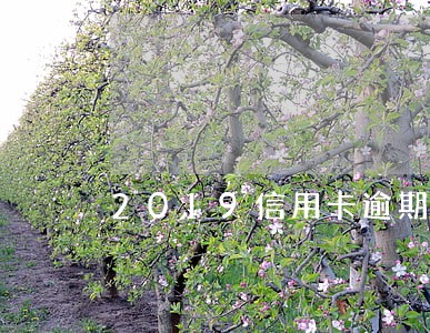 2019信用卡逾期有哪些规定 2019信用卡逾期有哪些规定