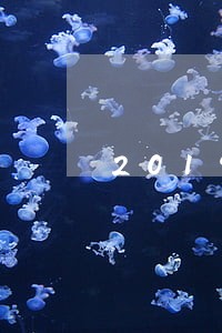 2019信用卡逾期量刑标准 2019信用卡逾期量刑标准