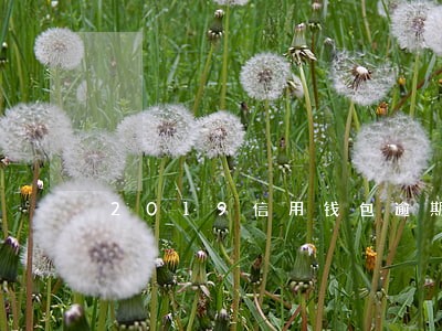 2019信用钱包逾期 2019信用钱包逾期