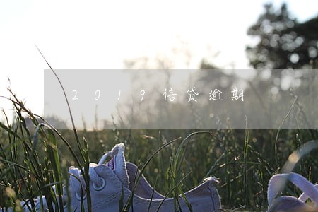 2019信贷逾期 2019信贷逾期