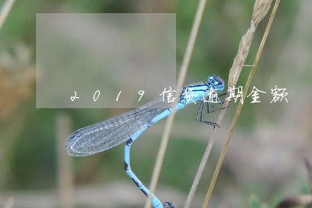 2019信贷逾期金额 2019信贷逾期金额