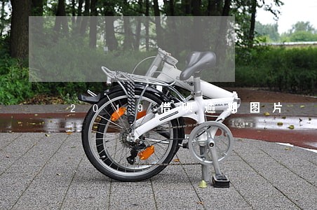 2019借呗逾期图片