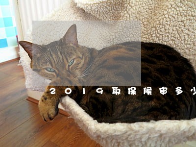 2019取保候审多少钱 2019取保候审多少钱