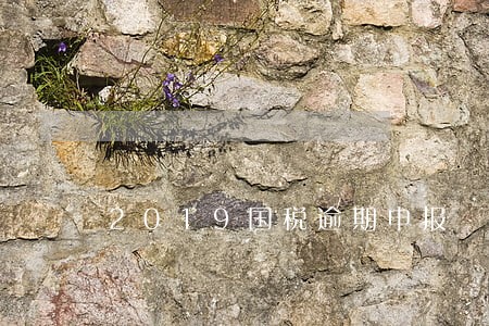 2019国税逾期申报 2019国税逾期申报