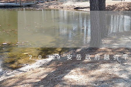 2019安岳政府融资平台逾期 2019安岳政府融资平台逾期