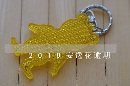 2019安逸花逾期 2019安逸花逾期