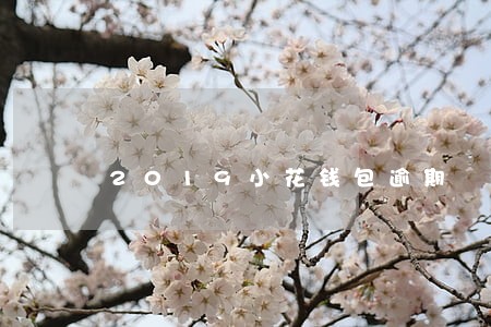 2019小花钱包逾期 2019小花钱包逾期