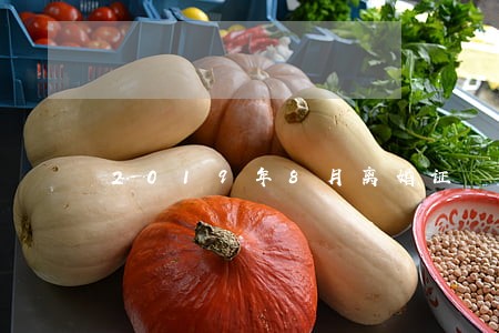 2019年8月离婚证 2019年8月离婚证