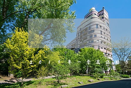 2019年一季度信用卡逾期 2019年一季度信用卡逾期