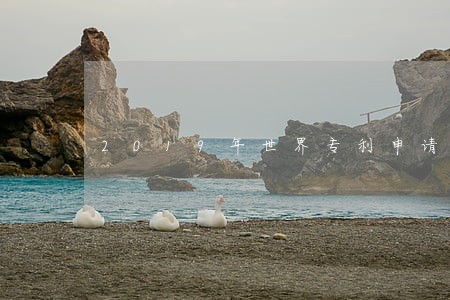 2019年世界专利申请的数量 2019年世界专利申请的数量