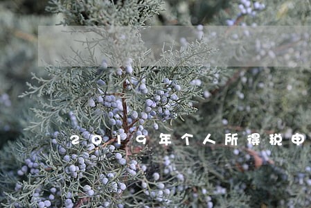 2019年个人所得税申报逾期 2019年个人所得税申报逾期