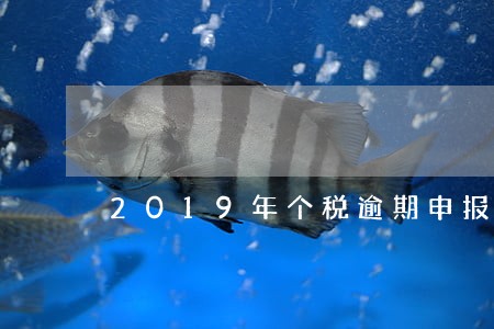 2019年个税逾期申报 2019年个税逾期申报