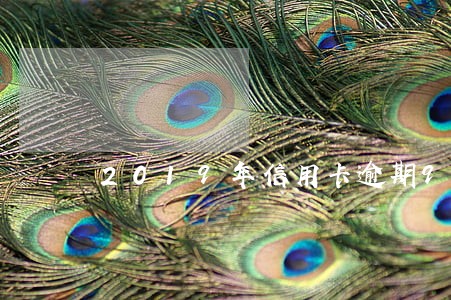 2019年信用卡逾期900亿